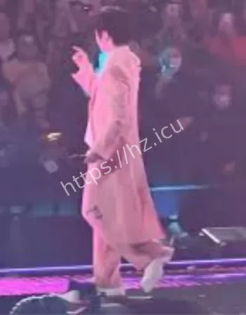 五月天阿信踩空坠台